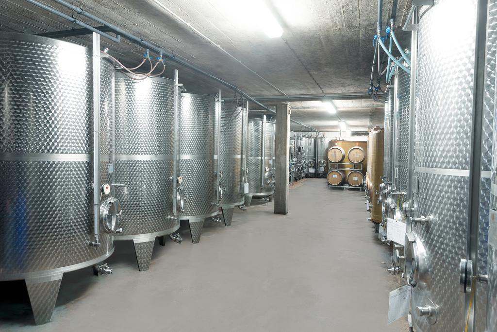 Pension Und Weingut Moselblick Brauneberg Eksteriør bilde